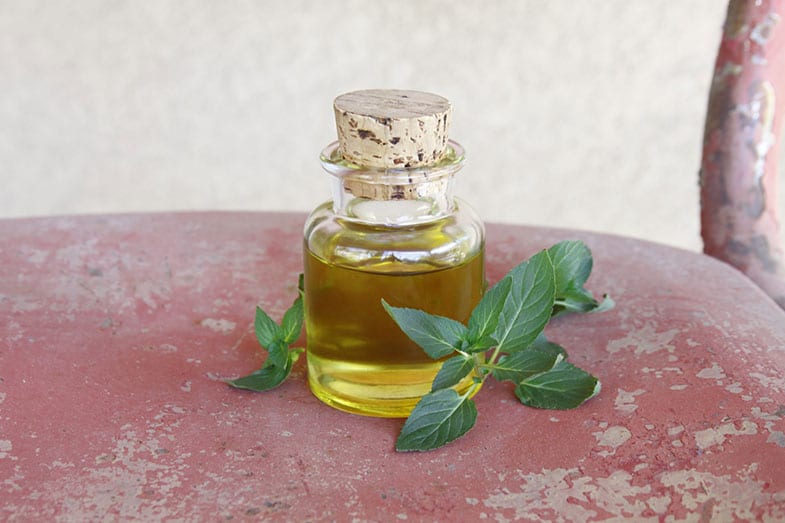 Peppermint Infused Oil