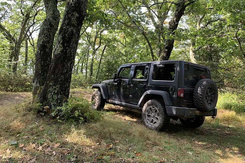 Black Off-Road Jeep in Forest