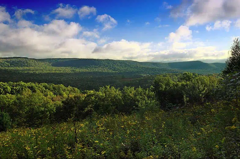 Lycoming County, Pennsylvania, Nature