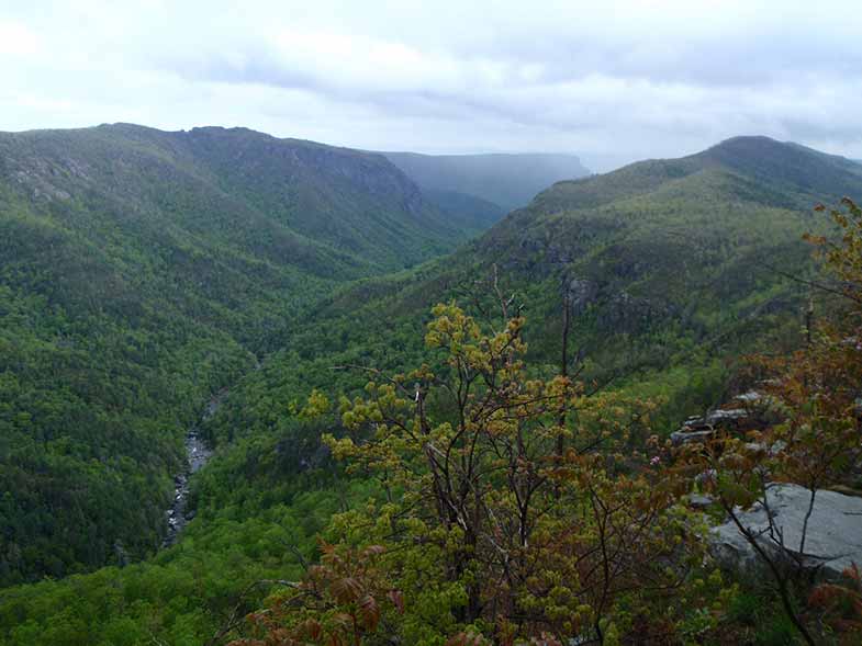 Linville Gorge Hills Landscape in North Carolina