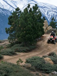 ATV Traveling Down a Mountain Trail