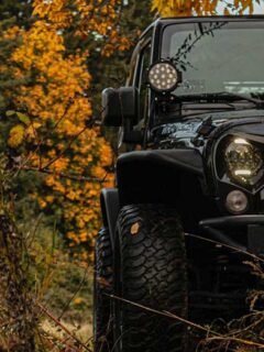 Black Jeep Wrangler Driving on Leaves in Forest