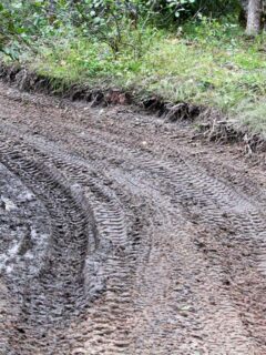 Close-Up of ATV Tracks on Wet and Muddy Trail