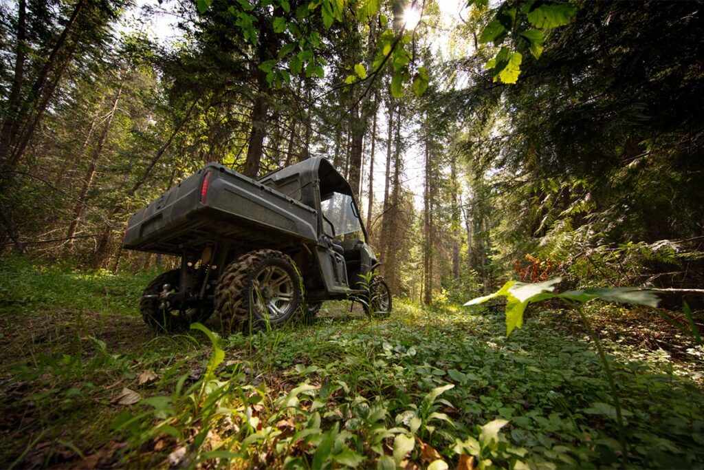 Off-Road UTV in a Forest