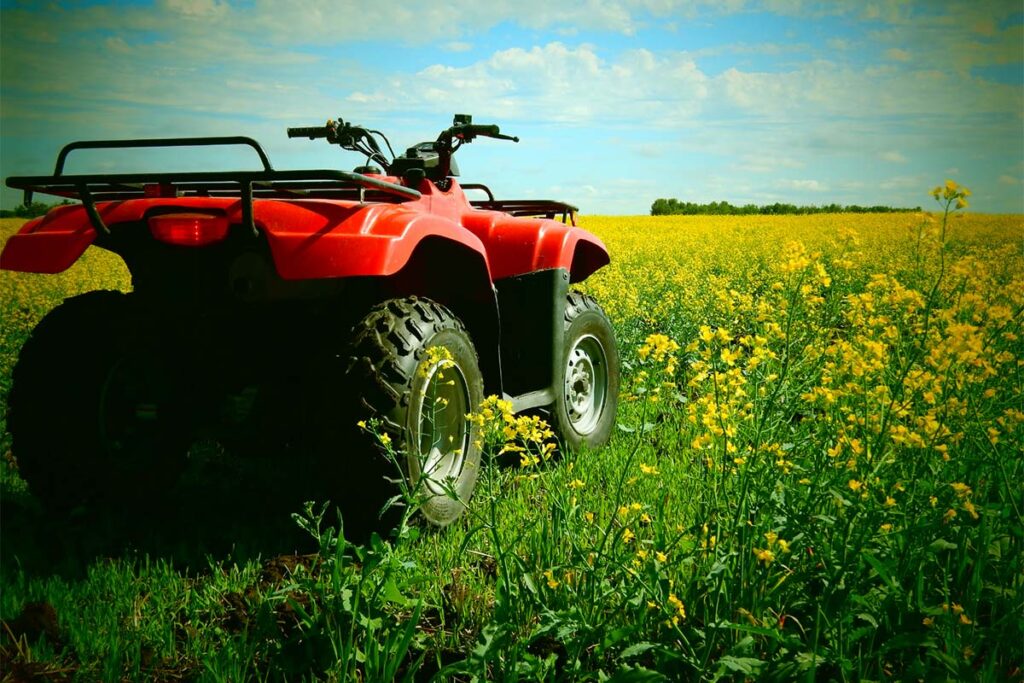 Red Quad in Flower Field