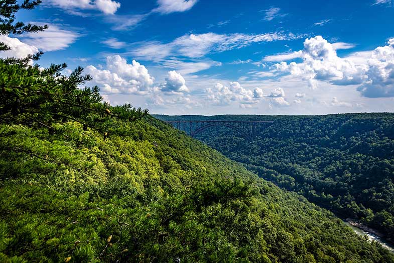 West Virginia Mountains, Trees, and a Bridge