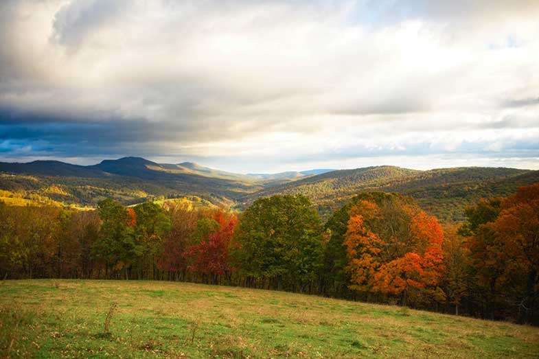 West Virginia Nature