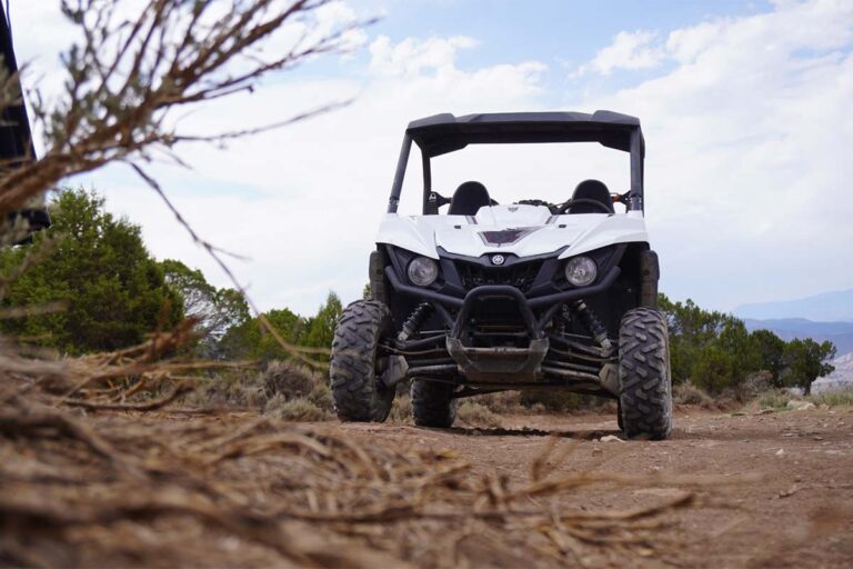 15 Most Common Yamaha Wolverine Problems