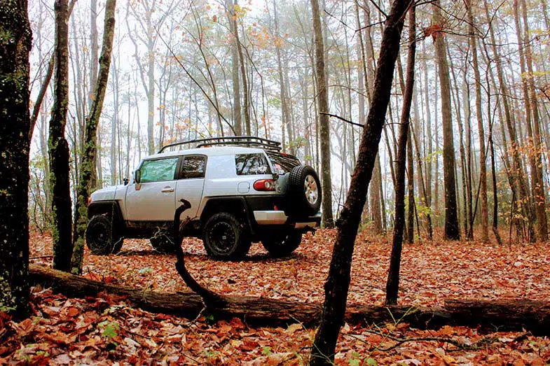 White SUV Off-Road in the Woods