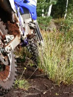 Dirt Bike Trail with Mud and Grass