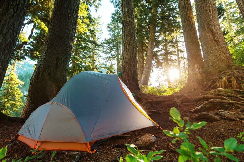 Camping Tent in Forest