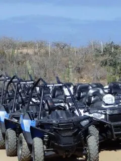 Several ATVs Parked on Sand