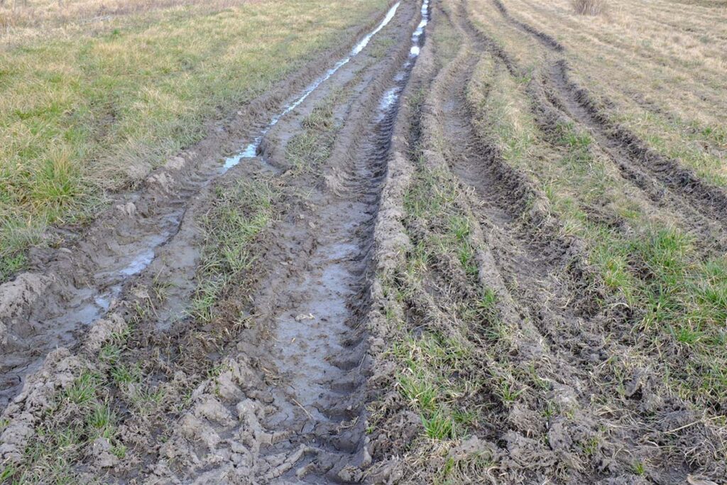 Tire Track on Muddy Ground