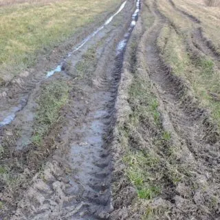 Tire Track on Muddy Ground