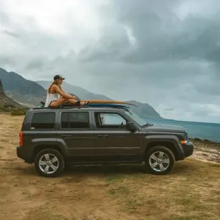 Gray SUV Parked Facing the Ocean