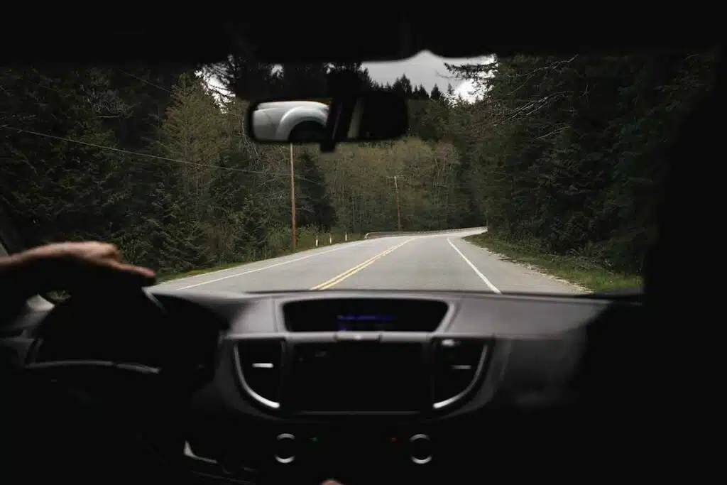A Person Driving a Car on the Road Near Trees. Pexels
